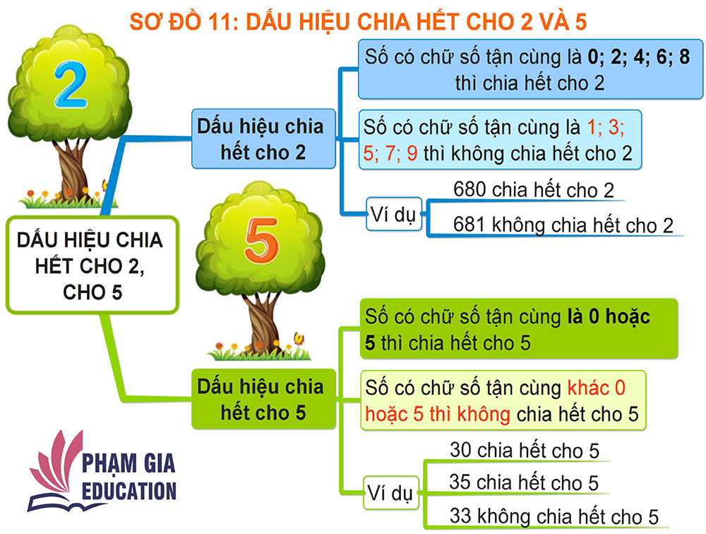 Image result for sơ đồ tư duy lớp 5